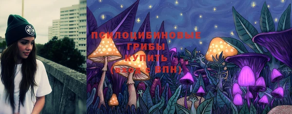 тгк Армянск