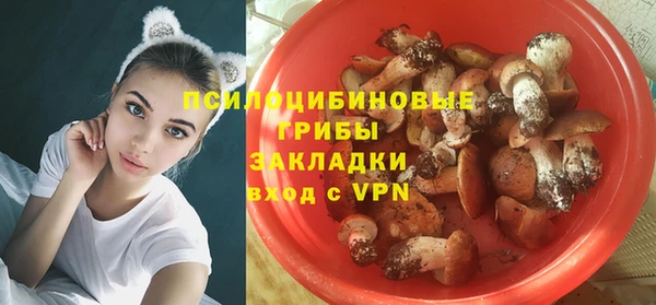 героин Алексин