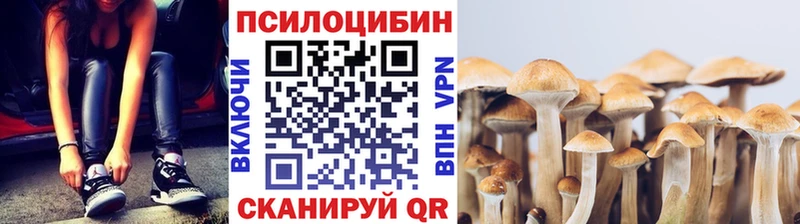 ссылка на мегу ссылка  Чёрмоз  Псилоцибиновые грибы Magic Shrooms  где найти  