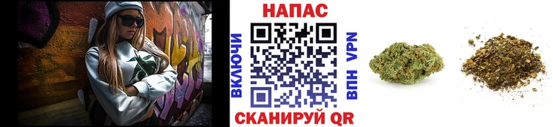 Шишки марихуана MAZAR  где найти наркотики  Чёрмоз 